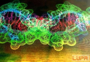 生物工程师构建用于对细胞编程的开源语言