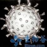 印度本土轮状病毒疫苗ROTAVAC III期临床取得积极数据