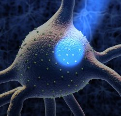 科学家揭示强迫行为成因线索，或为强迫症治疗提供新方向