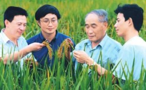 水稻之父周开达：一生只做“育种”和“育人”两件事