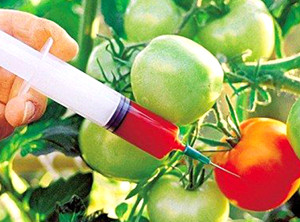 如何识别转基因食品：科学指南与常见误区