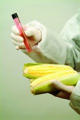 生物技术与常规育种技术应协同发展