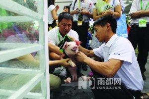 华大基因：解开创新基因的密码