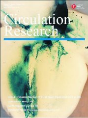 科学家首次发现心脏第一心区标志物HCN4