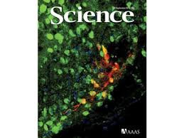 9月20日《科学》杂志内容精选