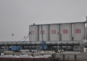 “转基因菜油”事件：中储粮需澄清事实