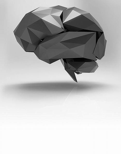 美大型神经科学研究BRAIN计划在吵闹中启程