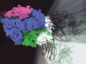 Science：结构生物学新成果有望驱除儿童杀手
