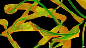 <b>美科学家改造病毒基因治愈血友病狗</b>