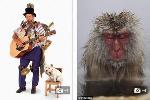 最新发现独特大脑区域 是人比猴子聪明的关键