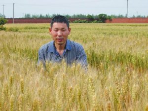 张正斌研究员：农学“杂家”