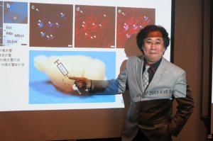 城大发现记忆“开关掣”