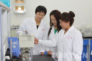 康龙丽：探究西藏各民族群体多样性