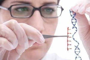 英国科学家发现儿童低智商基因 或可药物治疗