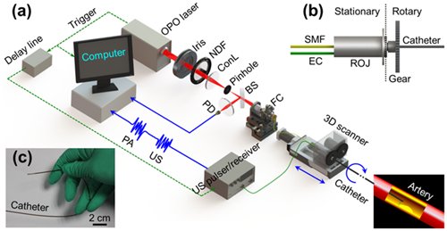 血管内超高分辨光声显微系统研制成功