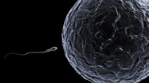 基因改造皮肤细胞变精子 有望治疗男性不育