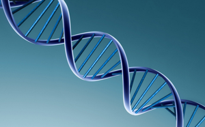Cell Rep：促进多种DNA发生突变的分子机制