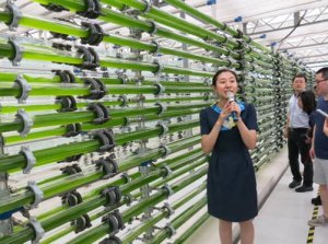新奥集团利用微藻变废为宝
