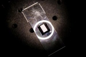 密歇根大学一团队开发可穿戴技术用于疾病监测