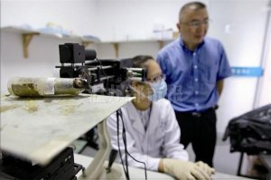 温医大教授用“高富帅”鼠类研究近视 领先国内外