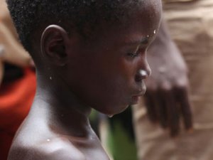Science：需要采取多种干预手段来阻止西非的埃博拉传播