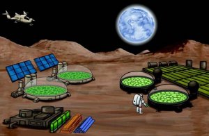 合成生物技术将为人类在火星获取食物和燃料