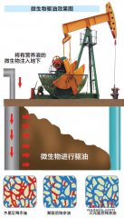 大庆油田迈入微生物采油时代，开启四次采油新篇章