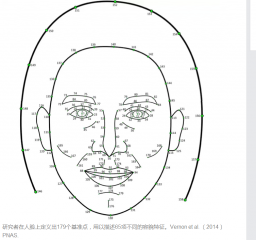 <b>科学解释，人为什么是“看脸”的</b>