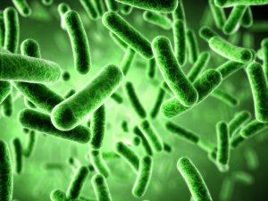 “微”观世界的“大”名堂 —— 走进中国普通微生物菌种保藏管理中心
