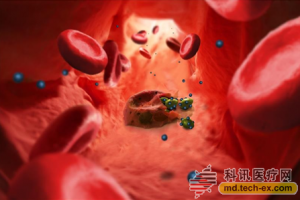 ACS Nano：新纳米模拟技术可阻断疟疾