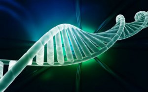 <b>Nature发布重大成果：发育疾病的12大新遗传成因揭示</b>