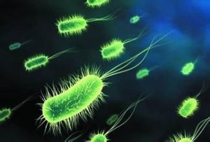 一种海洋微生物23亿年未进化
