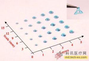 DNA水凝胶3D打印研究获新成果