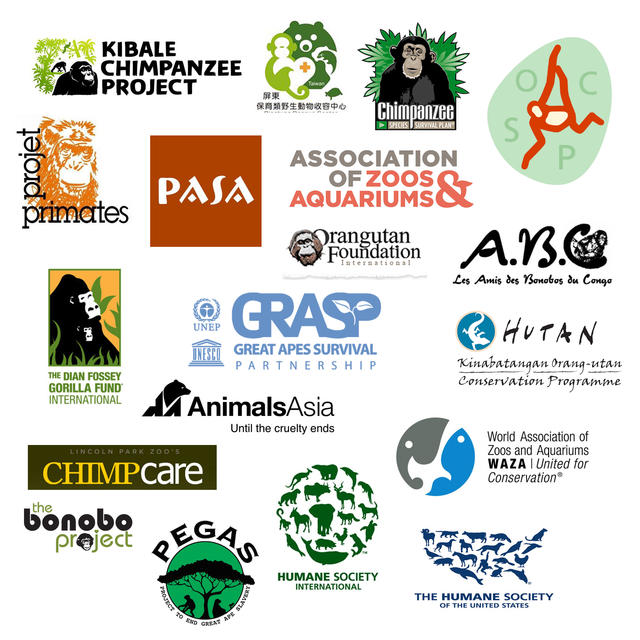 Logo_Collection.jpg