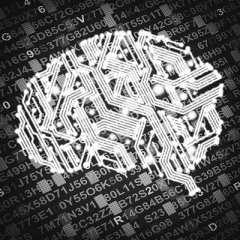 科学家绘出人脑进化“开关”调控图 对了解人脑发育至关重要