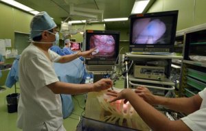外科医生的最爱：3D打印提供逼真器官实体模型