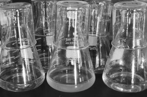 科学家在实验室重现生物进化过程