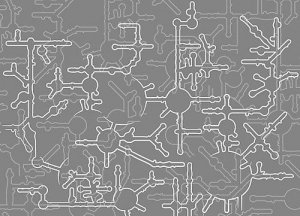 RNA：从软面条到香饽饽 核糖核酸分子及其构造与作用研究迎来新高潮