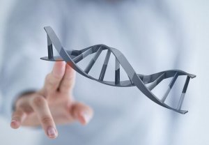 PNAS：不孕不育致病基因是哪些？