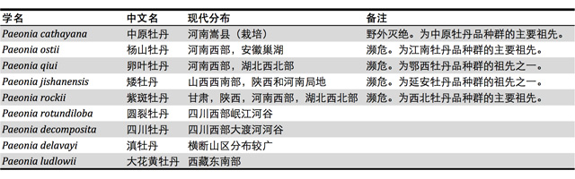牡丹：以我血泪，贺汝盛世