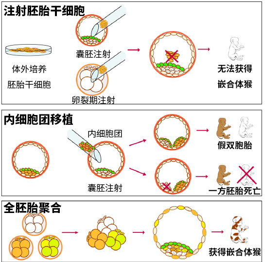 你知道在生物学界，“求合体”有多难吗！（下）