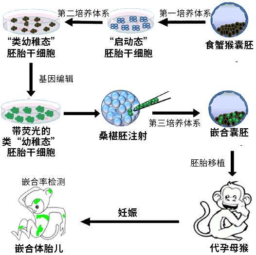 你知道在生物学界，“求合体”有多难吗！（下）