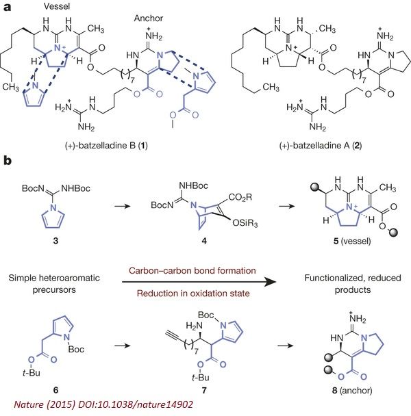 有机合成“全垒打”：《Nature》报道生物碱合成的简短新方法