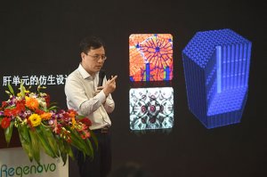 我国科学家实现肝单元生物3D批量打印