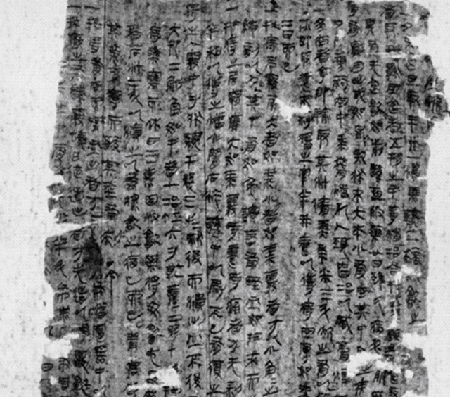 重阳节插的，是什么茱萸？