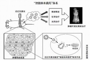 癌症精准治疗的“纳米智能”
