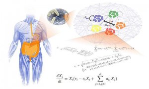Science新研究：肠道菌群互相竞争 保证肠道生态稳定