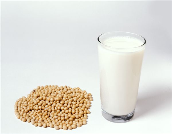 生豆子和熟豆子 哪个打豆浆更营养？