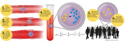 Sci Transl Med：生物标记或有助于发现多发性硬化及过敏症