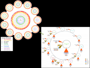 Nucleic Acids Res:中科院基因组所陈非研究组与首都医科大学黄海荣研究组共同解析